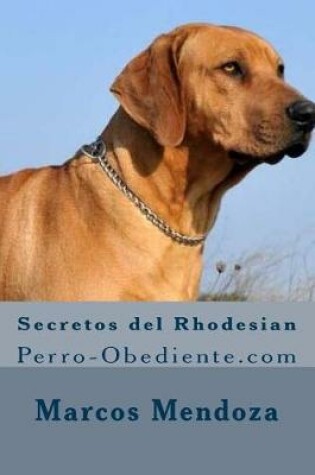 Cover of Secretos del Rhodesian