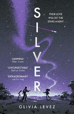 Book cover for Silver