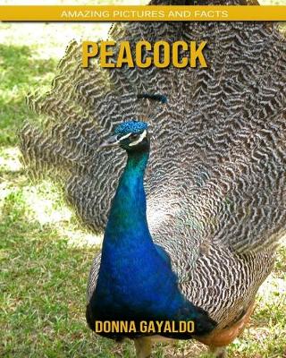 Book cover for Peacock