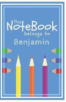 Book cover for Benjamin's Journal