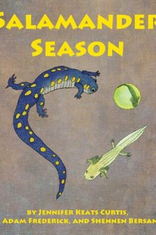 Cover of Salamander Season