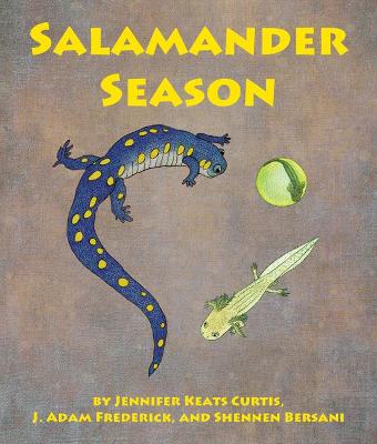 Book cover for Salamander Season