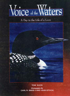 Book cover for Voices of the Waters