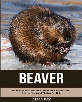 Book cover for Beaver