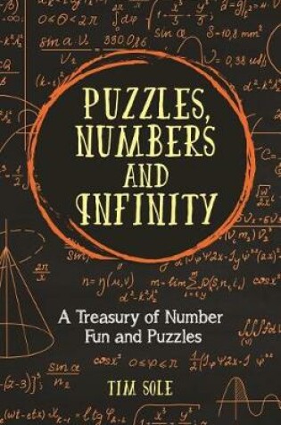 Cover of Puzzles, Numbers and Infinity