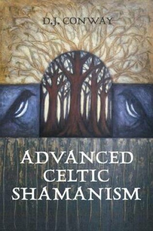Cover of Advanced Celtic Shamanism