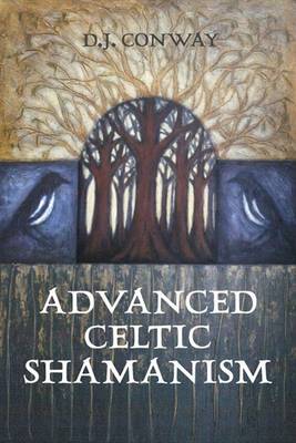 Book cover for Advanced Celtic Shamanism