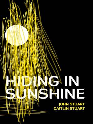 Book cover for Hiding in Sunshine