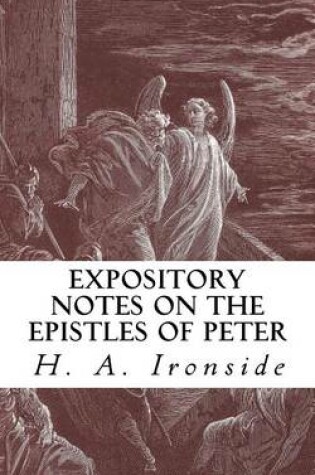 Cover of Expository Notes on the Epistles of Peter