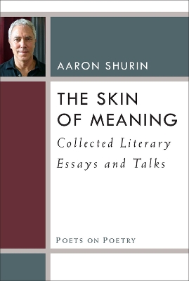 Book cover for The Skin of Meaning