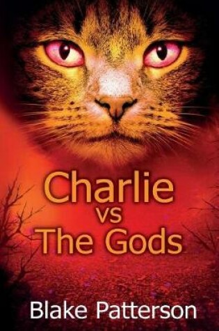 Cover of Charlie vs the Gods