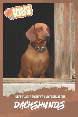 Book cover for Unbelievable Pictures and Facts About Dachshunds