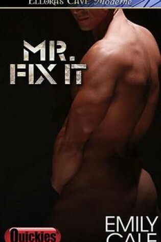 Cover of Mr. Fix It