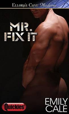 Book cover for Mr. Fix It