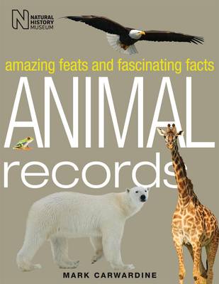 Book cover for Animal Records