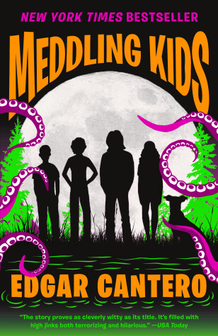Book cover for Meddling Kids