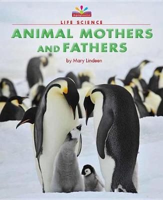 Book cover for Animal Mothers and Fathers