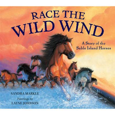 Book cover for Race the Wild Wind