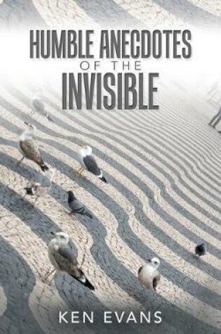 Cover of Humble Anecdotes of the Invisible