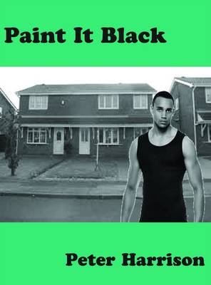 Book cover for Paint it Black