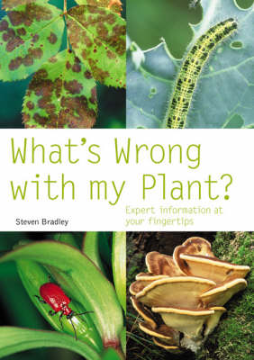 Book cover for What's Wrong with My Plant?