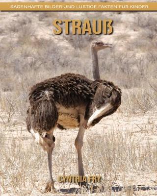 Book cover for Strauß