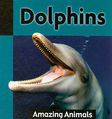 Cover of Dolphins