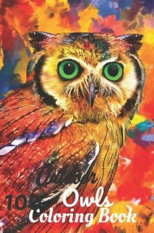 Cover of 100 Outdoor Owls Coloring Book
