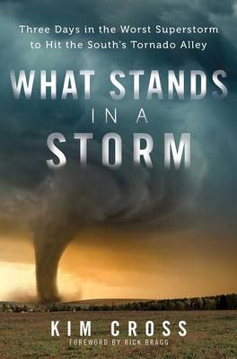 Book cover for What Stands in a Storm