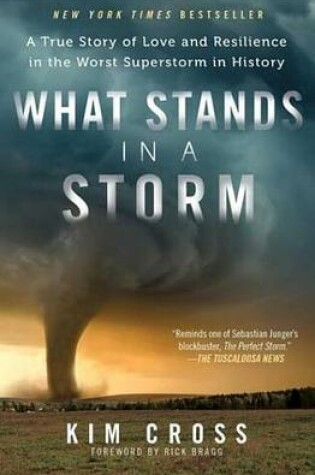 Cover of What Stands in a Storm