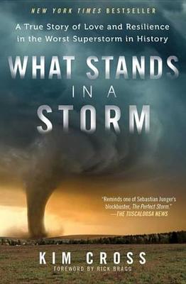Book cover for What Stands in a Storm