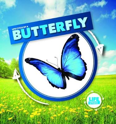 Cover of Life Cycle of a Butterfly