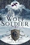 Book cover for Wolf Soldier