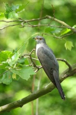 Cover of Cuckoo Bird Journal