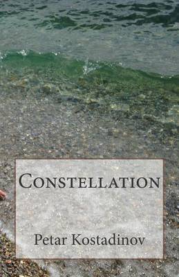 Book cover for Constellation