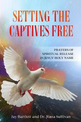 Cover of Setting the Captives Free