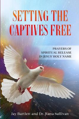 Book cover for Setting the Captives Free