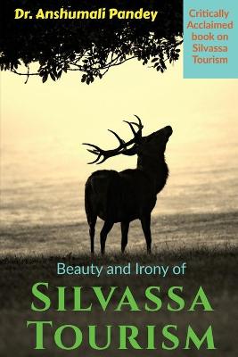 Book cover for Beauty and Irony of Silvassa Tourism