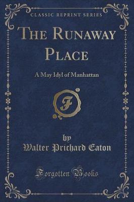 Book cover for The Runaway Place