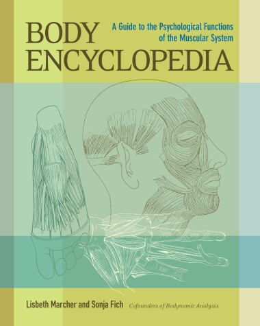 Cover of Body Encyclopedia