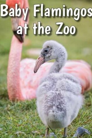 Cover of Baby Flamingos at the Zoo