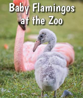 Book cover for Baby Flamingos at the Zoo