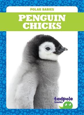 Book cover for Penguin Chicks