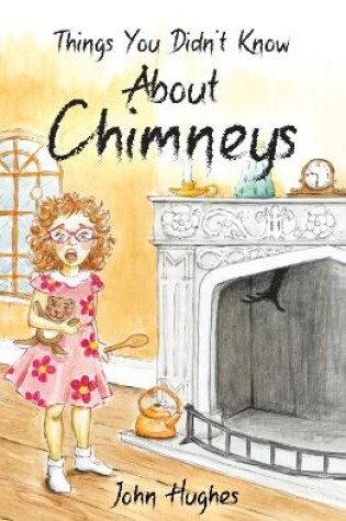 Cover of Things You Didn't Know About Chimneys