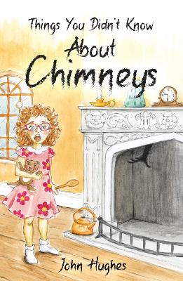 Book cover for Things You Didn't Know About Chimneys