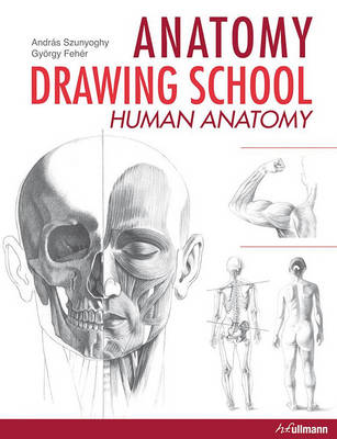 Book cover for Anatomy Drawing School Human Anatomy