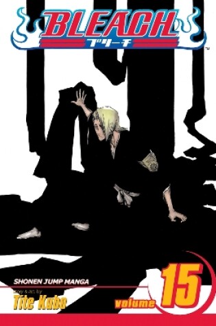 Cover of Bleach, Vol. 15