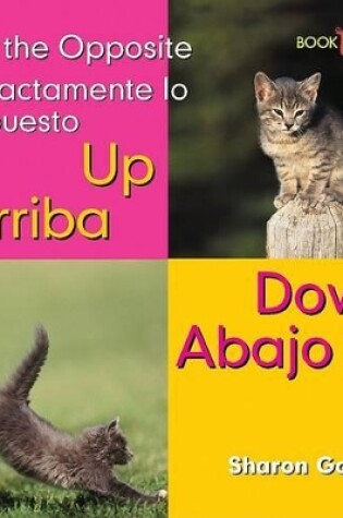 Cover of Arriba, Abajo / Up, Down