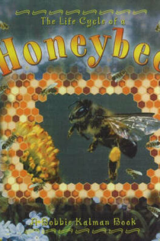 Cover of The Life Cycle of a Honeybee