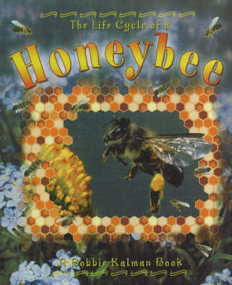 Book cover for The Life Cycle of a Honeybee